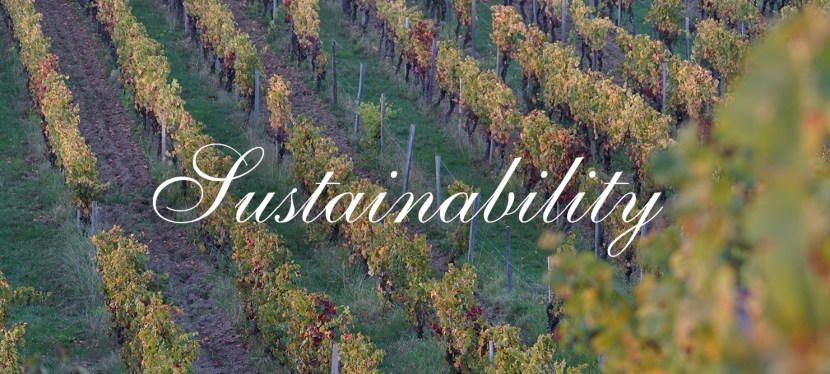 Sustainability